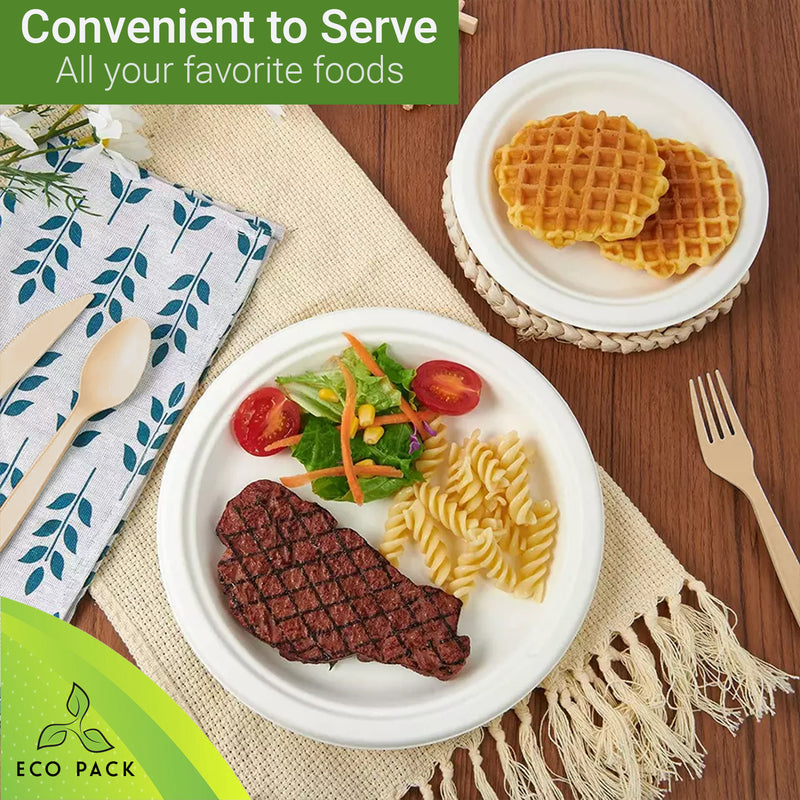 Biodegradable Paper Plates Combo Pack with Utensils